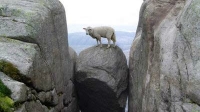 rock_hardplace_cut