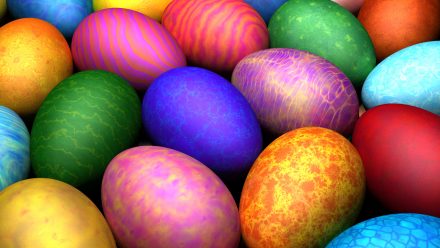 Videoblogg – Ludde och Andreas jagar ägg