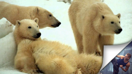 Special – Inget särskilt