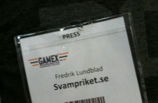 GAMEX 2010