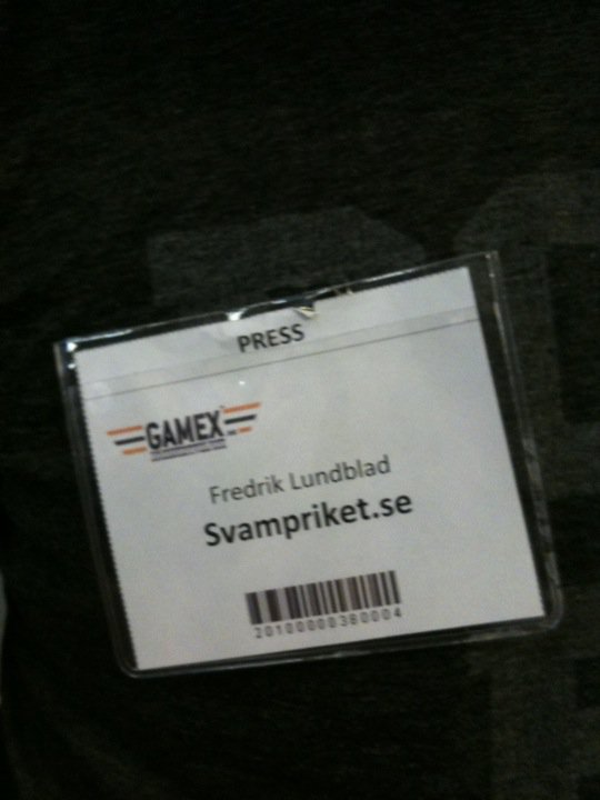 GAMEX 2010
