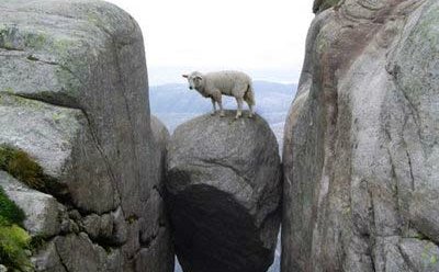 Dom kallar oss lögnare