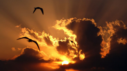 Säsongsavslutning (2)