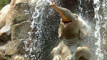 Skitsnack Festival: Tisdag