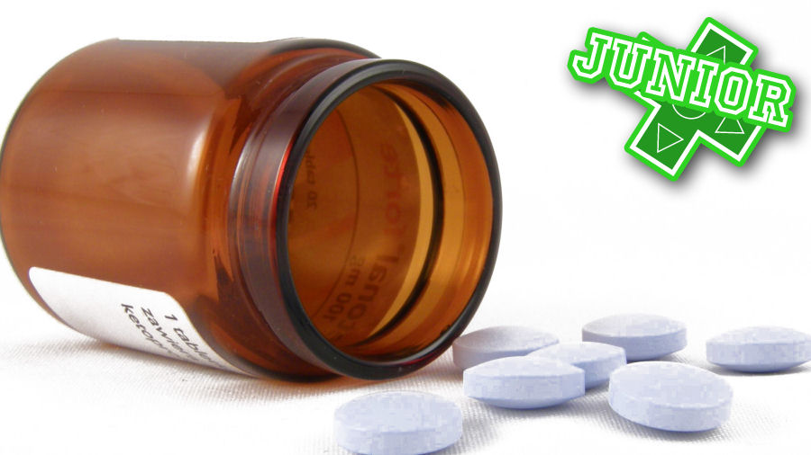 Den missbrukande föräldern