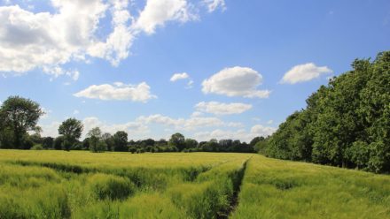 GOTY 2015: Bäst hittills