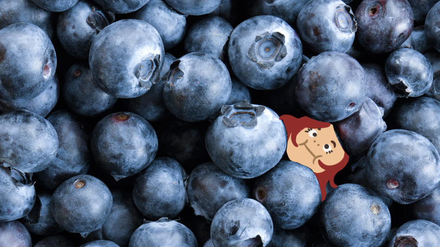 Nitton bast men ändå ett blåbär