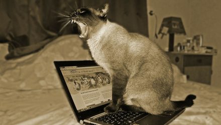 När laserpekaren inte räcker till