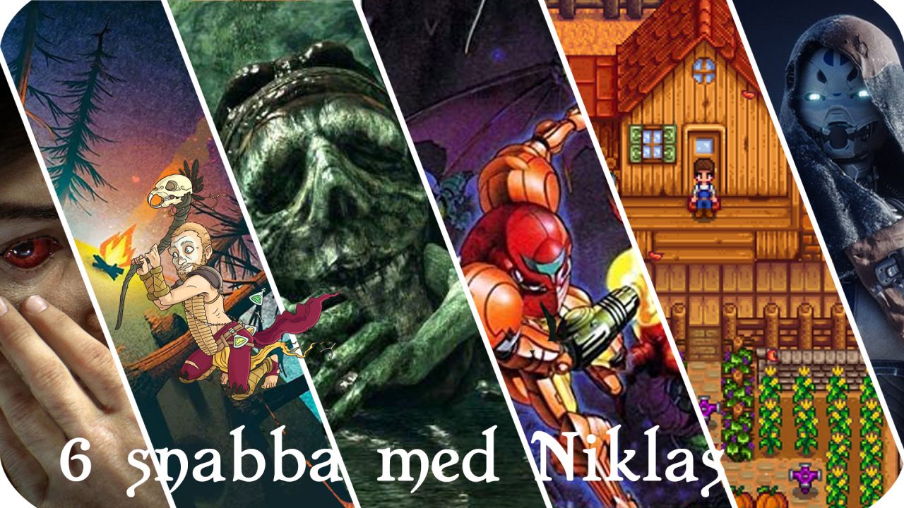 6 snabba med Niklas
