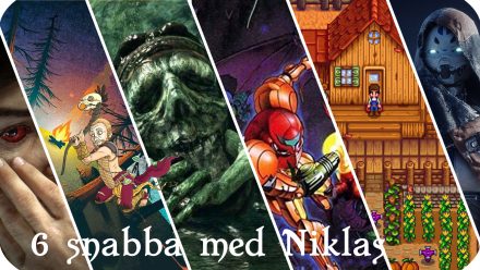 6 snabba med Niklas