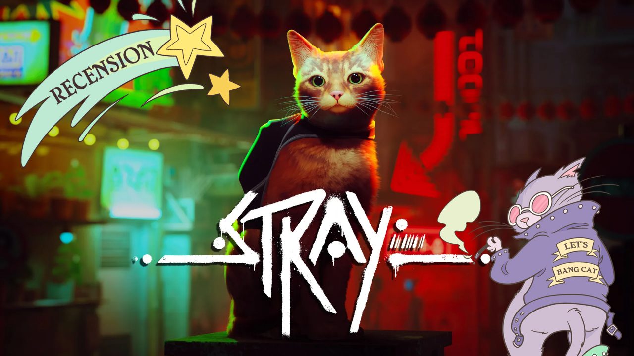 Recension: Stray är perfekt när allt känns tungt (PS5)